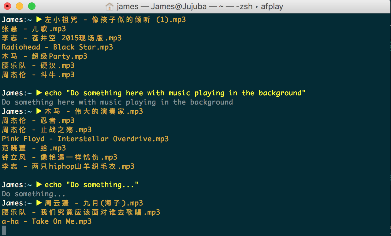 play_music_in_terminal